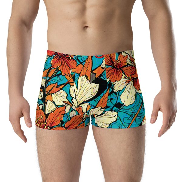 Boxer Briefs